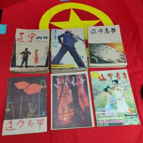 《辽宁青年》1988年第4/8/13/15/16/17/18/19期+1989年第4/5/6/8/10/11/14/17期+1990年第1/3/7/12/13/16期+1991第2/5期+1992年第1/19期 共26本合售