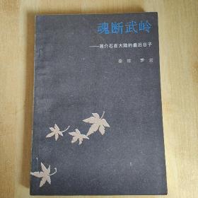 《魂断武岭——蒋介石在大陆的最后日子》