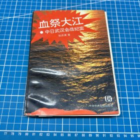 血祭大江:中日武汉会战纪实
