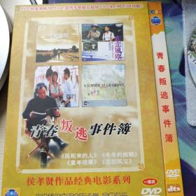 青春叛逃事件簿（DVD）