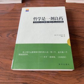 哲学是一剂良药：用思想大师的智慧开解日常生活的难题