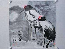 保真书画，杨琦四尺斗方国画作品《良霄图》一幅，尺寸：68*68纸本托片，中国书画函授大学原藏品展览作品。