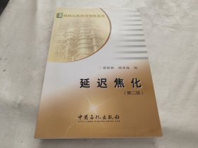 延迟焦化/炼油工业技术知识丛书