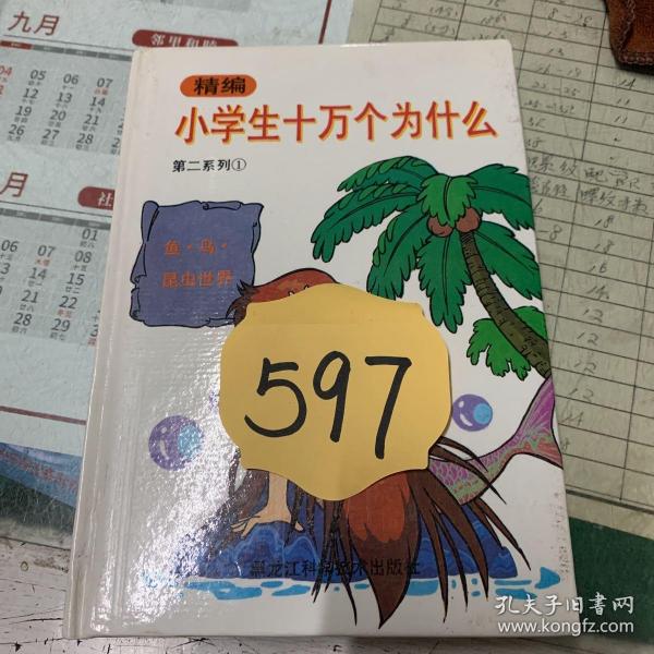 精编小学生十万个为什么.第二系列 4