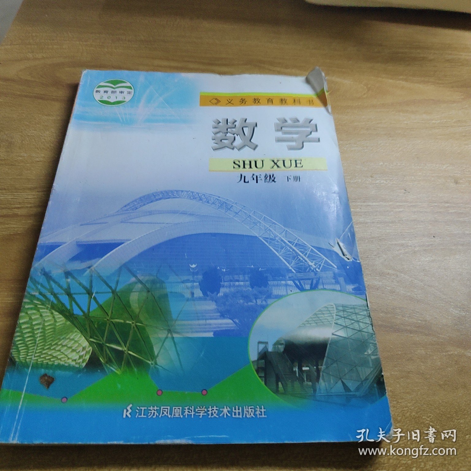 数学. 九年级. 下册