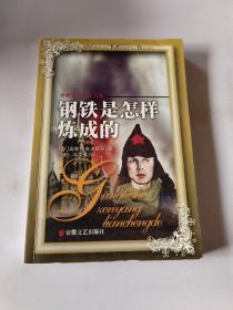 钢铁是怎样炼成的:全译本