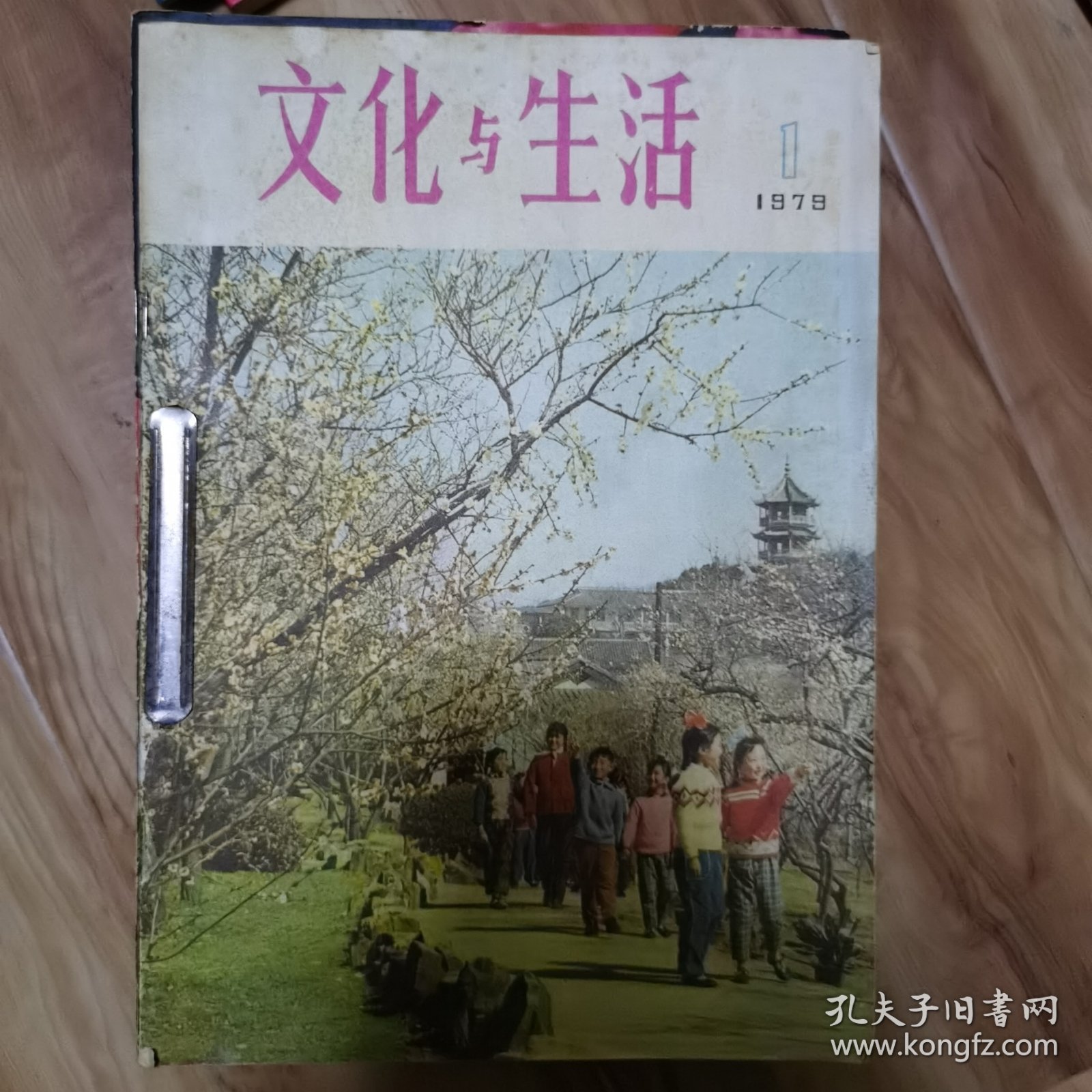 文化与生活10期合订刘晓庆（含创刊号及1979全年4期，1980四期，1982，1983各第3期）