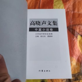 高晓声文集 中篇小说卷（仅印1000套）无翻阅