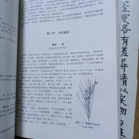 全国中医药行业高等中医药院校成人教育规划教材：中药鉴定学（专升本）