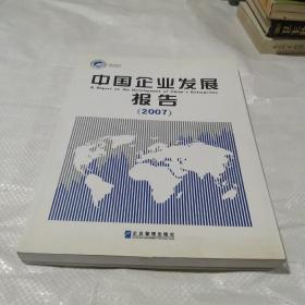 中国企业发展报告2007