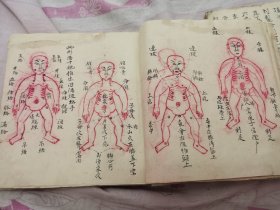 中医手抄本，鹰爪门推拿打穴治病，93个筒子页186面