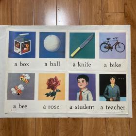 教学挂图 ：单词2    初级中学课本第一册教学图片