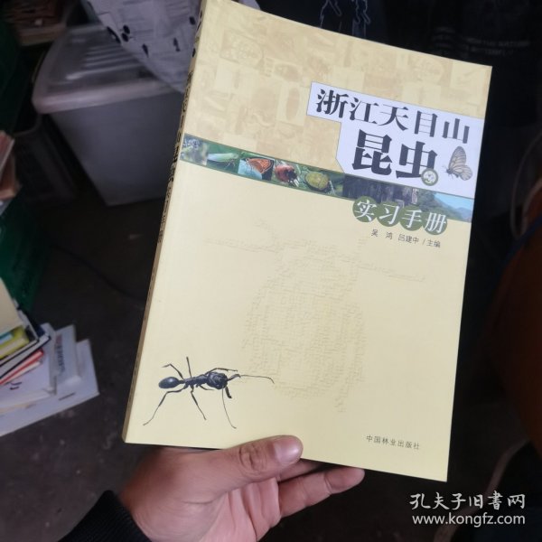 浙江天目山昆虫实习手册
