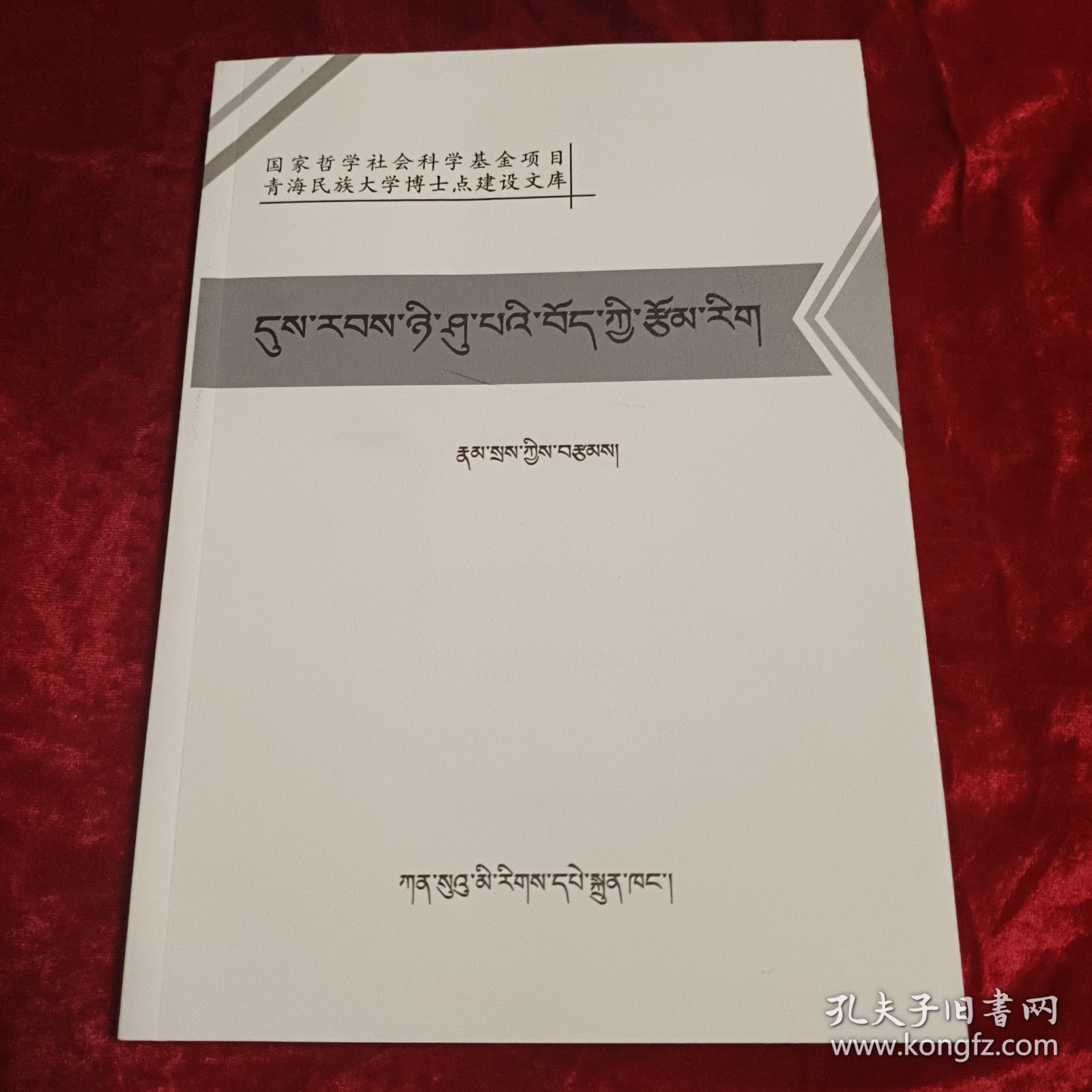 20世纪藏族文学