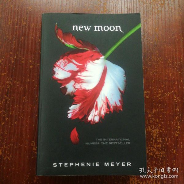 New Moon：MOON B