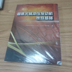 固体火箭冲压发动机燃烧基础