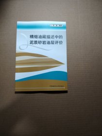 精细油藏描述中的泥质砂岩油层评价