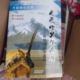 走进帕米尔高原:穿越柴达木盆地