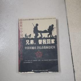 兄弟,替我回家：中国对越自卫反击战血色纪实