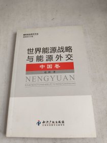 世界能源战略与能源外交：中国卷
