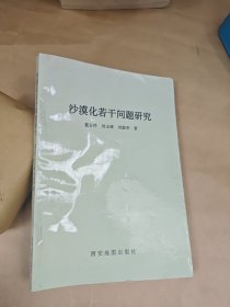 沙漠化若干问题研究