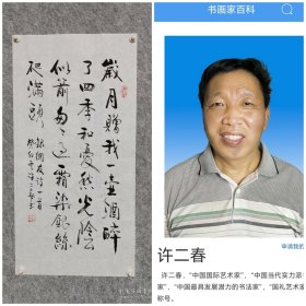 许二春书法作品 草书网络诗其二 四尺四开34*68 真人真迹放心收藏！