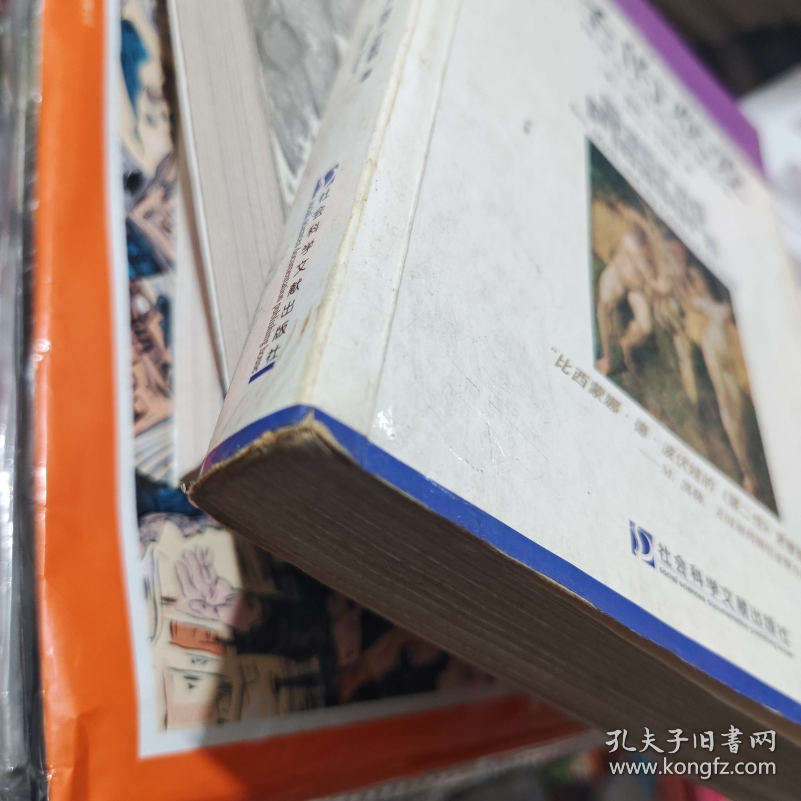 神圣的欢爱：性、神话与女性肉体的政治学