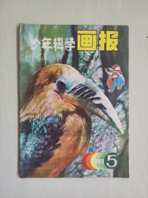 老杂志：《少年科学画报》1983年第5期，1983.5，详见图片及描述