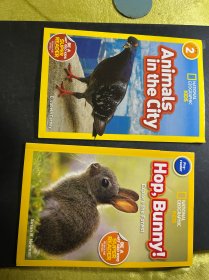 英文原版National Geographic Kids Readers:Animals in the City城市里的动物 国家地理分级阅读Level 2