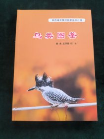 鸟类图鉴-陕西潼关黄河国家湿地公园。