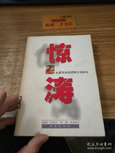 惊涛:长篇电视连续剧文学剧本