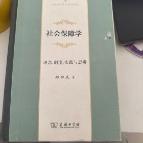 社会保障学：理念、制度、实践与思辨(中华当代学术著作辑要)