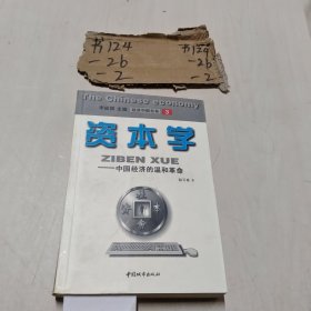 资本学:中国经济的温和革命