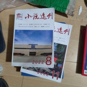 小说选刊（2022年8期11期合售）