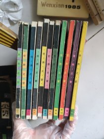 世界之窗(11本)