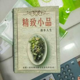 精致小品.沧桑情韵