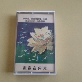 《青春在闪光》磁带