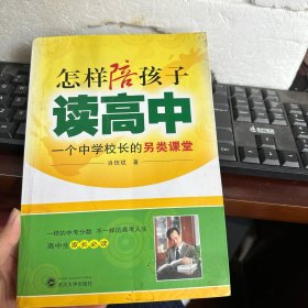 怎样陪孩子读高中：一个中学校长的另类课堂