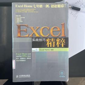 Excel实战技巧精粹（带光盘）