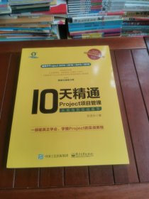 10天精通Project项目管理：从菜鸟到实战高手