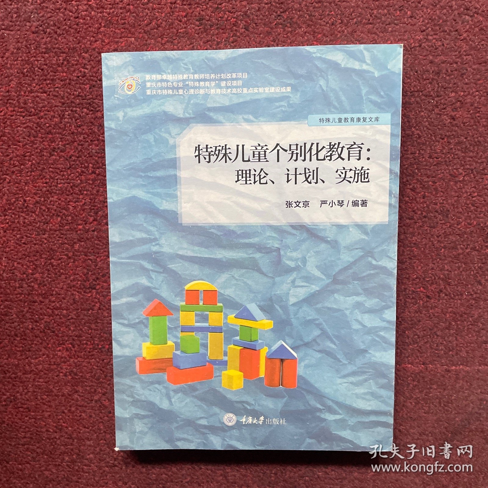 特殊儿童个别化教育： 理论、计划、实施