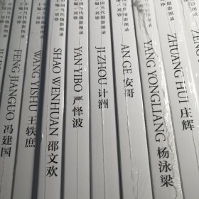 中国当代摄影图录：何宇晟 杜艳芳 李  张巍 曾翰 周裕隆 陈生平 安哥 杨泳梁 庄辉 邵文欢 严怿波 计洲 金平 桔多淇 冯建国 王轶庶 （17册合售）全新未拆封