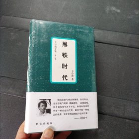 黑铁时代：王小波全集：8