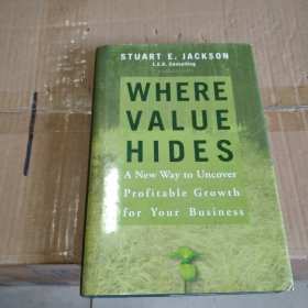 Where Value Hides：A New Way to Uncover Profitable Growth for Your Business