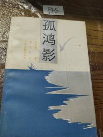 孤鸿影
