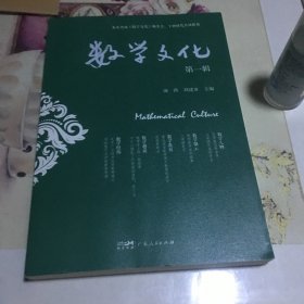 数学文化·第一辑