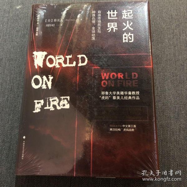 起火的世界：自由市场民主与种族仇恨、全球动荡（第二版）/雅理译丛