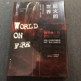 起火的世界：自由市场民主与种族仇恨、全球动荡（第二版）/雅理译丛