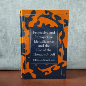 Projective and Introjective Identification and the Use of the Therapist's Self【英文原版】