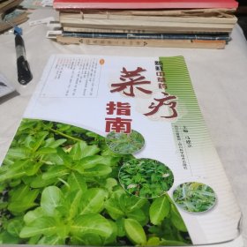 新鲜中草药菜疗指南